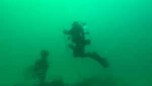 Scuba diver holding a line to descend down to the ocean floor
