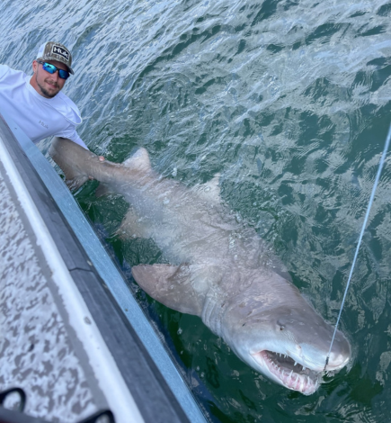 Large shark beside the boat and a young man smiling next to it